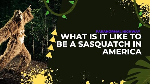 What is it Like To Be a Sasquatch in America