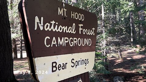 REVIEWING EACH CAMPSITE @ Bear Springs Campground & Bear Rustic Log Shelter! | Mount Hood Oregon 4K