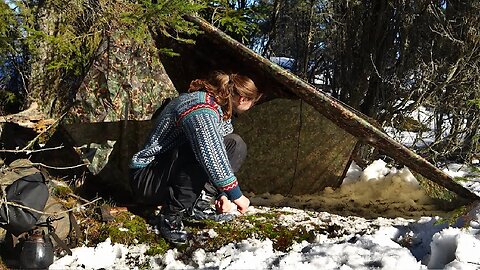 WINTER CAMPING in Perfect Spring Weather - Relaxing Bushcraft & Nature