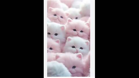 #Baby cute kitten 🐈😁#
