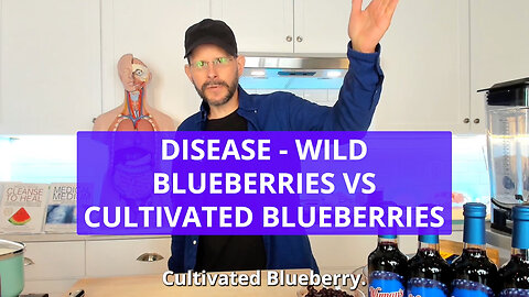 Disease - Wild Blueberries Vs Cultivated Blueberries