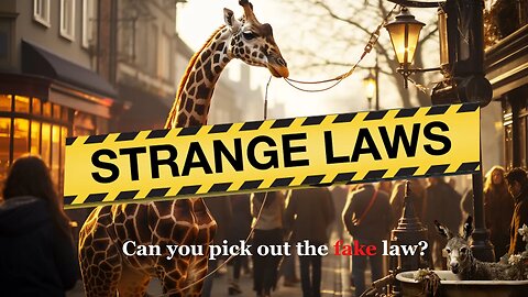 Can You Spot the Fake Law? Test Your Legal Detective Skills!