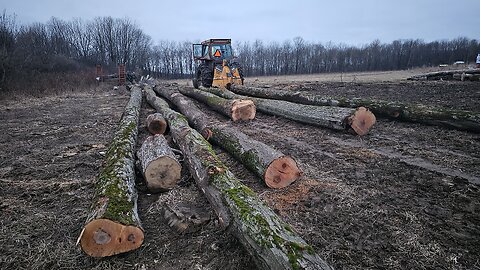 Farm Tractor Skidding / Logging Hard Maple & Woodlot Management