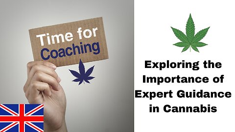 Exploring the Importance of Expert Guidance in Cannabis