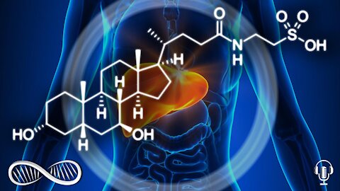 Top 7 Benefits of TUDCA - The "Bear" of Liver Biohacks