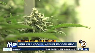 Marijuana company plans to open dispensary in Rancho Bernardo
