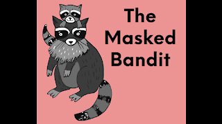 The Masked Bandit