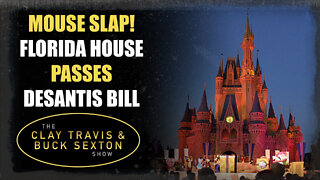 Mouse Slap! Florida House Passes DeSantis Bill