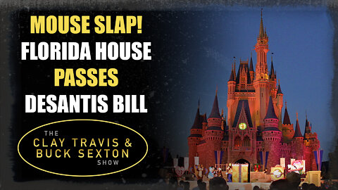 Mouse Slap! Florida House Passes DeSantis Bill