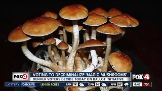Denver voters will decide whether to decriminalize "magic mushrooms"