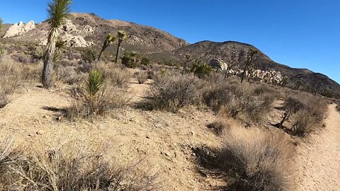 Joshua Tree National Park Ryan Ranch Trail