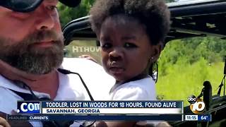 Toddler lost in woods found alive
