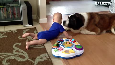 Funny Big Dogs Playing with Babies Compilation 2015