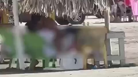 Escándalo en La Boquilla tras la candente escena de dos bañistas