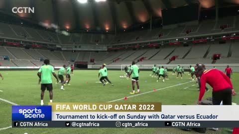FIFA World Cup expectations as tournament kicks-off