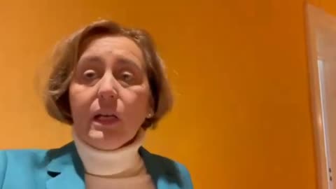 Verfassungsgericht Beatrix von Storch