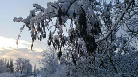 A Bucolic place in Krasnodar