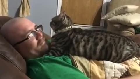 Cat Smacks Man's Face After He Playfully Growls at Them