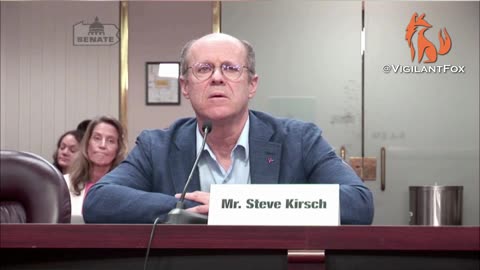 Steve Kirsch Testifies the Truth About All Vaccines to Pennsylvania Senate