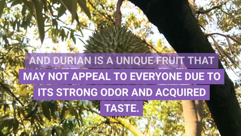 Things you may not know about this EXOTIC fruit (DURIAN)