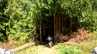 Niko at Dry Hill Bike Park: Port Angeles, WA