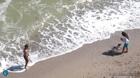 Max First Time Goes to the Beach! Puppy Playing on the Beach | Cute Golden Retriever Puppy