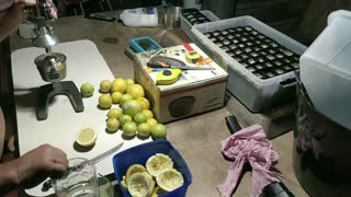 Good Lemon Lime etc Juicer - SOGA Commercial Manual Juicer Review