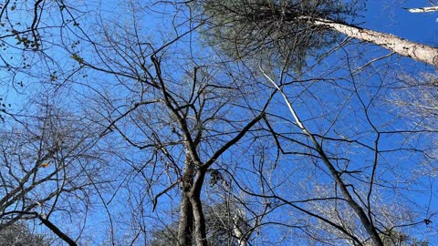 Greg’s Two Falls - Little River Canyon Nature Preserve - Fort Payne, Alabama