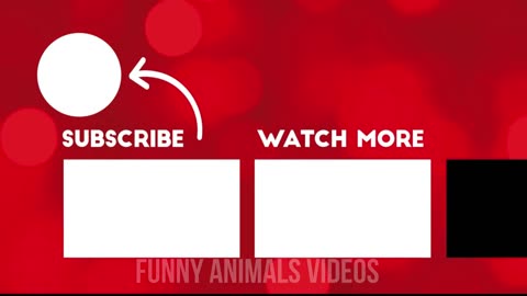 😂 Hilarious Clean Animal Videos No Swearing 1 Hour of Laughter 😆