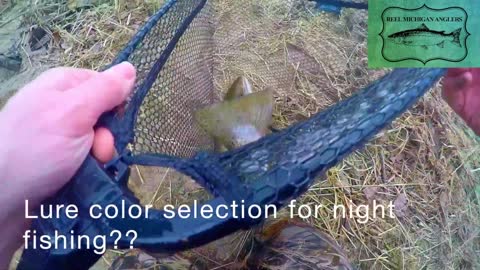 How Do I Choose The Right Lure Color? / My 6 Rule Guide To Choosing Lure Colors