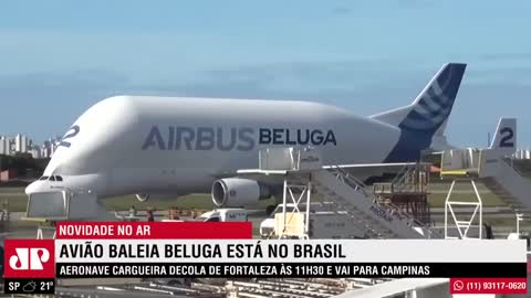 Avião cargueiro Baleia Beluga está no Brasil; conheça a aeronave