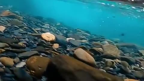 Under water view