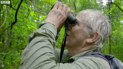 The First Person To See ALL 79 Major Groups Of Primates In The Wild | Primates | BBC Earth