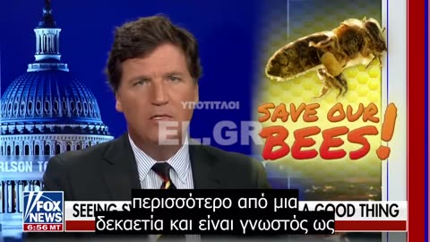 Μελισσοκόμος προειδοποιεί τον Tucker για την εξαφάνιση των μελισσών