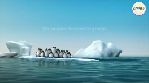 Teamwork and Leadership _ Animated short clip _ Creative 360 _ #teamwork #leadership #motivation