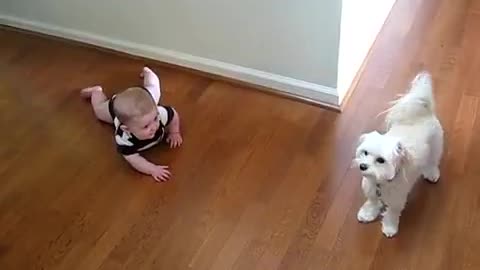 Dog And Baby Are Dancing