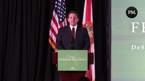 Gov. Ron DeSantis slams critical race theory