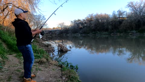 Carp Fishing in Austin, Texas