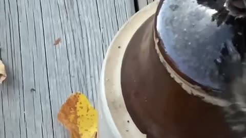 Smart Chipmunk Opens Crock Containing Peanuts