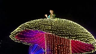 Main Street Electrical Parade | Disneyland Park