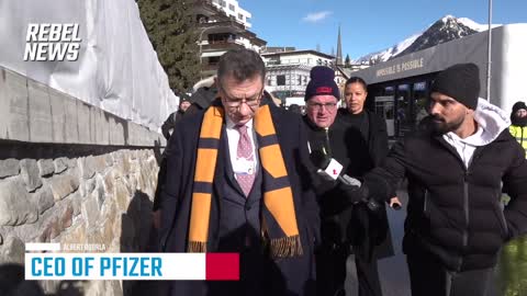 Albert BOURLA, CEO of Pfizer, pushed back to reality by REBEL NEWS in DAVOS !