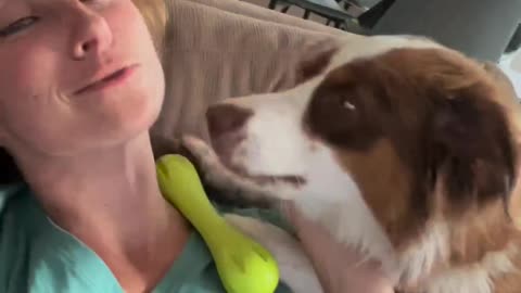 MOM DOG vs DAD DOG…