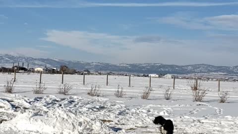 Winter chemtrails in montana