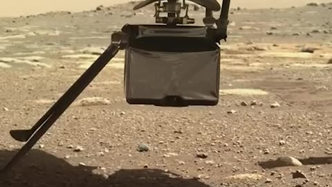 Mars Rover gives Birth