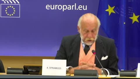 Intervento Dr Stramezzi al Parlamento UE per ICS-3
