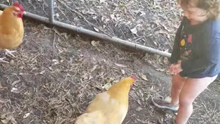 Louy's Chicken coop disaster😂