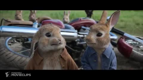 Peter Rabbit (2018) - Forgiveness Scene (10-10) - Movieclips_Cut