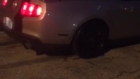 Mustang burnout