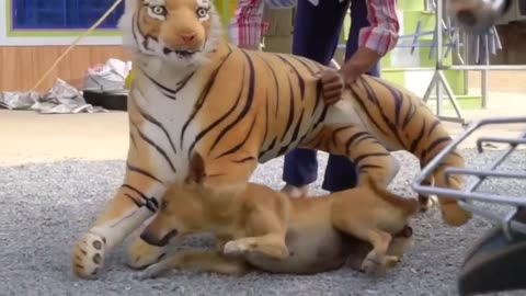 Hilarious Dog Prank: Unleashing the "Fake Lion" on Unsuspecting Visitors