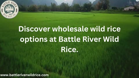 Wholesale Wild rice